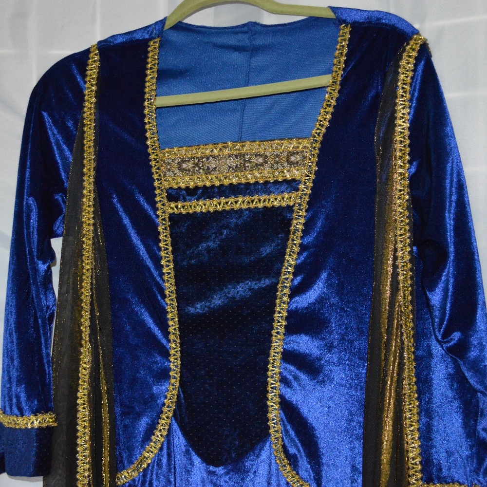 Medieval Gown/Dress Blue/Gold Long Sleeve Cosplay